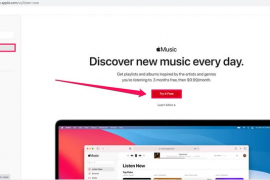 如何轻松地把您的音乐收藏从Spotify传输到Apple Music（Free Your Music可以做到）