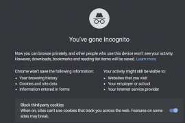 Hur man stoppar Google Chrome från att spara din webbhistorik i Windows 11 (ingen historik kan göra det)