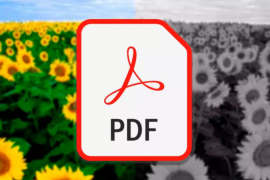 Jak przekonwertować pliki PDF na czarno-białe w systemie Windows 11?