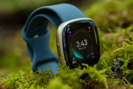 Hvordan sammenligner Fitbit Sense 2 med Apple Watch Series 8?