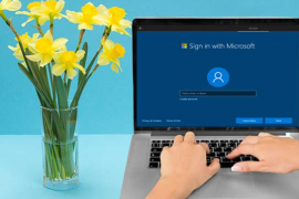 如何在Windows 11上添加或删除您的微软账户或本地账户