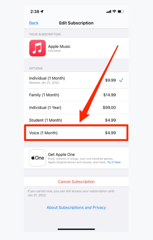 Apple Music Voice：如何以一半的价格获得 Apple Music插图3