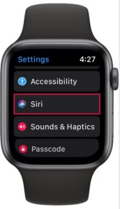 如何在 Apple Watch 上使用 Siri 播报消息插图1