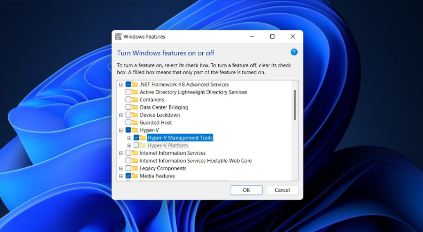 如何在Windows 11上安装虚拟机 如何 第2张