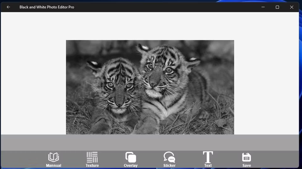 如何在Windows 11中把图片转换成黑白 Windows 第12张