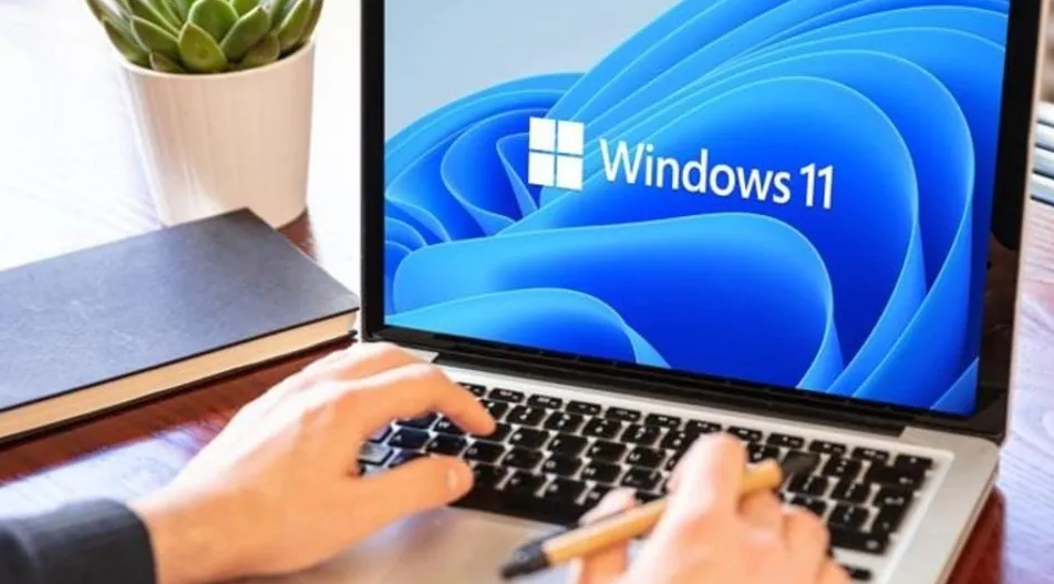 如何在Windows 11上配置Windows Hello指纹登录 Windows 第1张