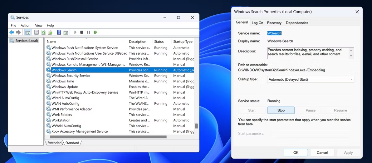 如何修复Windows 11上搜索菜单自行打开的问题 Windows 第6张