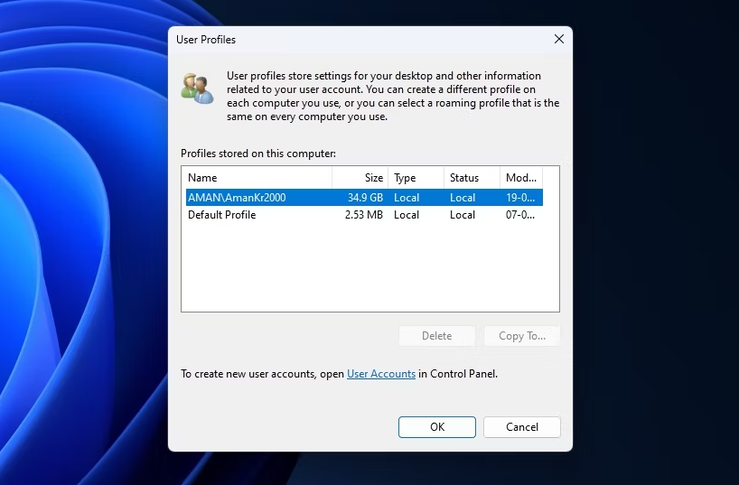 如何在Windows 11中删除用户配置文件 Windows 第3张