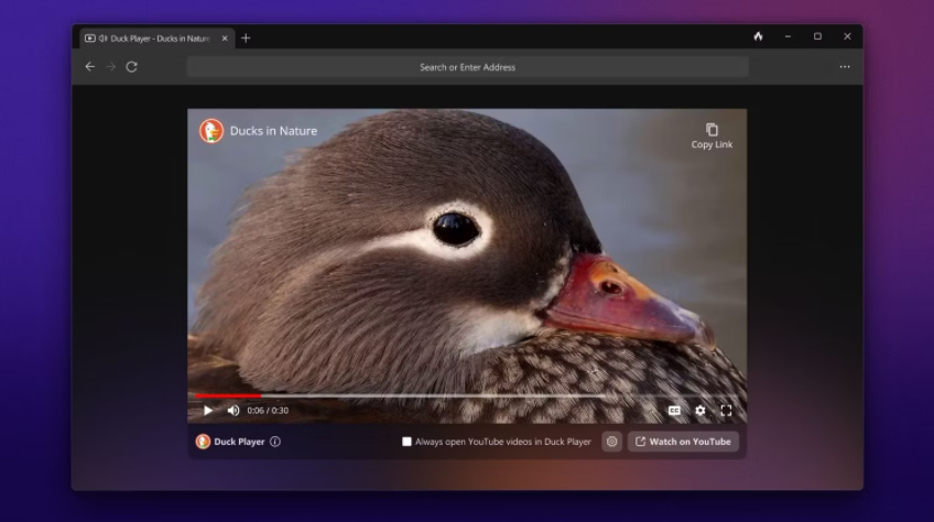 如何在Windows上使用DuckDuckGo浏览器 如何 第5张