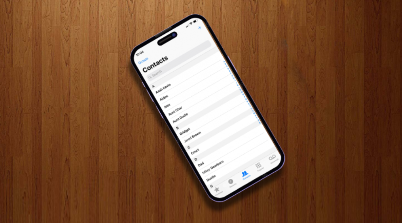 如何使用列表整理 iPhone 上的联系人 如何 第1张