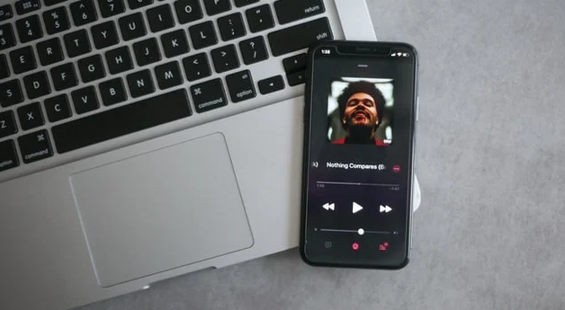 如何从 Apple Music 下载音乐 如何 第1张