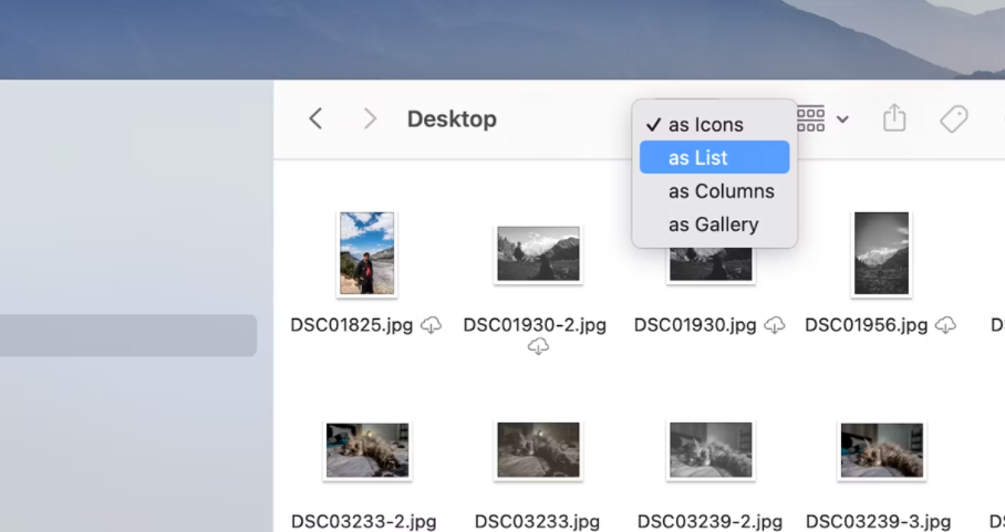 如何在 Mac 上选择多个文件 如何 第2张